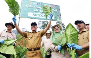 Terpilih pada Acara Gebyar Perbenihan Nasional, Bupati Dadang Supriatna : Kabupaten Bandung Punya Potensi